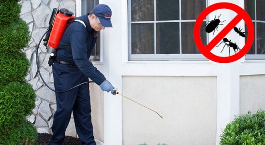 Dalaman Dezenfeksiyon böcek ilaçlama ve haşere kontrolü — ilaclama-tr.com